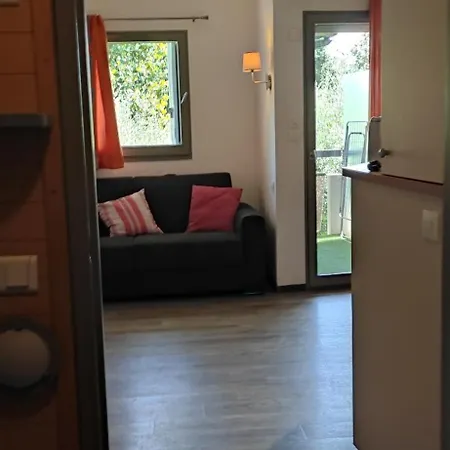 Les Palmiers Appartement