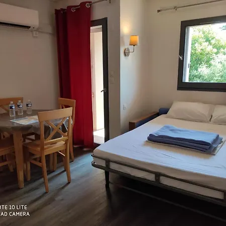 Les Palmiers Apartament *
