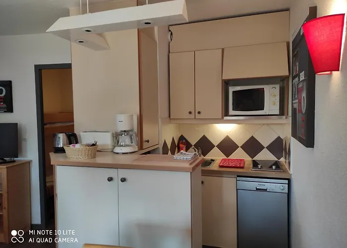 Appartement Les Palmiers *