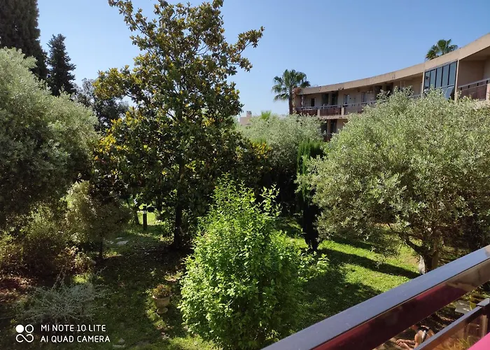 Les Palmiers Apartment